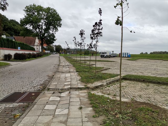 IMG 20210924 091120