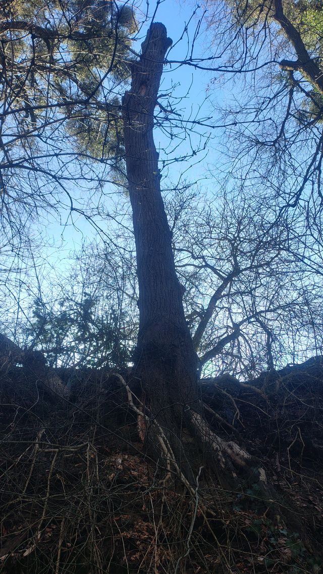 IMG 20260315 081509170 HDR