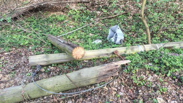 IMG 20260411 151627093 HDR