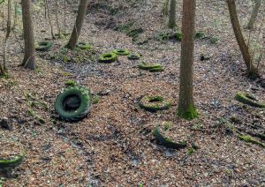 Śmiecie w wąwozach  nie przeszkadzają burmistrzowi ?