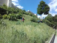 Sianokosy&hellip; przy Zamku