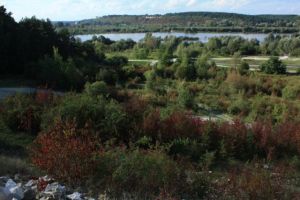 O Rynkowej i nowych planach zagospodarowania  kamieniołomu