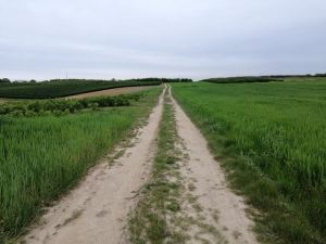 Zapiątek w Zbędowicach