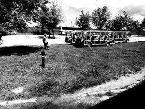 Tykająca bomba w Kazimierzu Dolnym !?