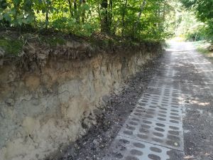 Dobra alternatywa utwardzania kazimierskich  wąwoz&oacute;w ?