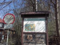 Wąw&oacute;z korzeniowy - czyj to pomysł?