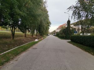 Meleksy  znikną z kazimierskiego rynku ?