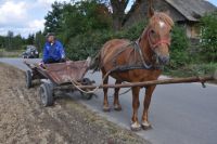Zapiski z codzienności 30 lipca &ndash; 15 września 2017