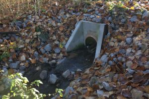 Śmierdzący problem