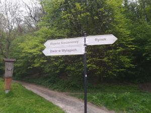 Oznakujmy kazimierskie  wąwozy