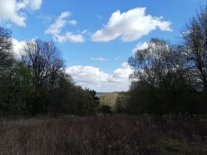 R&oacute;wni i r&oacute;wniejsi, czyli realia Kazimierza Dolnego