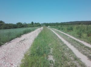 Jeśli nie wiesz, dokąd chcesz  iść, nie ma znaczenia, kt&oacute;rą drogą p&oacute;jdziesz&hellip;