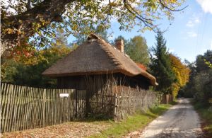 Zapiski z codzienności 08 października 2018