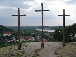 Czy zaraza... odbiera  resztki  zdrowego rozsądku?