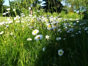 OCZEKIWANIE Z NADZIEJĄ &hellip;