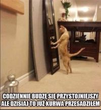 &bdquo; Ślepy ze świniarką dobrali się miarką&hellip;.&rdquo; 