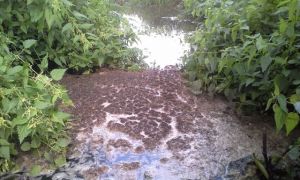 Czy okolicom Kazimierza Dolnego grozi katastrofa ekologiczna. Reportaż w TVP Lublin