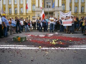 Nie rzucim ziemi, skąd nasz r&oacute;d!