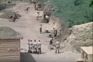 Żydzi donoszą na władze Kazimierza  do prokuratury