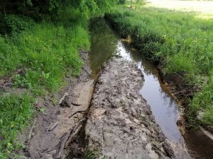 Rajdy off-roadowe niszczą kazimierskie wąwozy