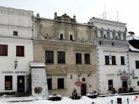 NIE WYBIERAJMY "KOTA W WORKU"