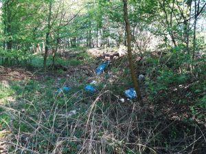 Nazajutrz po sprzątaniu Kazimierza, czyli jak wygląda rzeczywistość, dzień po&hellip;.