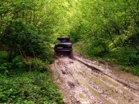 Inicjatywa uchwałodawcza działa. Co przyniesie?