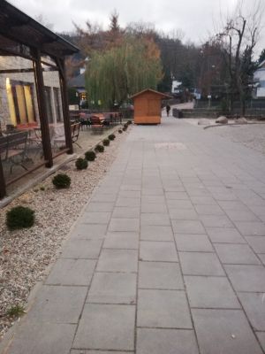 Wycinka drzew na Browarnej