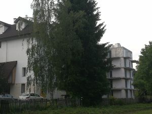 Czy "rada miejska" w Kazimierzu Dolnym dorosła  do debaty.