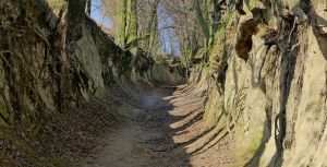 Czy burmistrz A. Pominowski rozwiąże problem  wąwozu Korzeniowego  ?