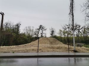 Raz jeszcze o manipulacjach burmistrza Kazimierza