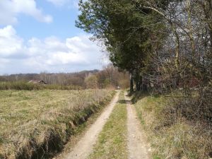 O czym dyskutowano podczas czwartkowej komisji budżetu ?