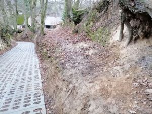 W Kazimierzu Dolnym perły rzucono przed świnie.