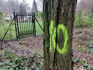 Wraca problem  drogi  za "Starą Chatą"