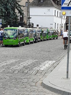 Tak wygląda reglamentacja miejsc postoju dla meleks&oacute;w w Kazimierzu Dolnym