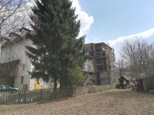 Burmistrzu Kazimierza Dolnego  karty na st&oacute;ł