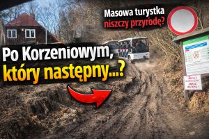 Po Korzeniowym kt&oacute;ry następny...?