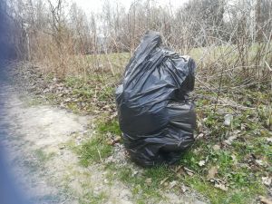 Sprzątanie Kazimierza. Ze śmieci sprzątanie.