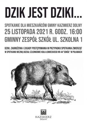 Dzik jest dziki, dzik jest zły....