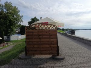 "Żeby Polska w siłę rosła, trzeba wodza nam, nie osła !"