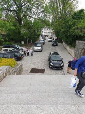 "Najwyżej podnoszą się niskie czoła."- Mirosław Welz