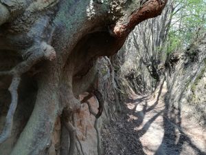 Czy leci z nami pilot...?