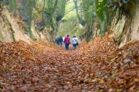 Pragmatyzm pilnie poszukiwany