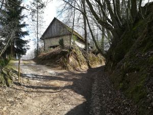 Tak  wygląda prawdom&oacute;wność burmistrza Pomianowskiego