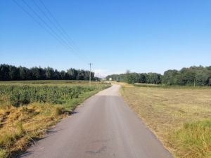 Panie burmistrzu co znowu z tymi przetargami ?