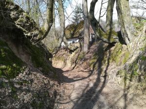 Władze Kazimierza zadrwiły z ludzi