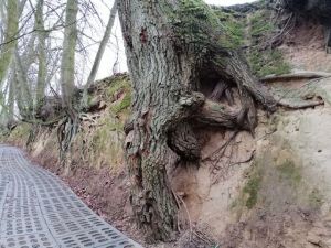 Polsat News o  betonowaniu  głębocznicy