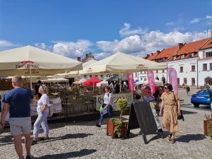 Covid 19 w  Kazimierzu n/Wisłą , komentarz mieszkańca