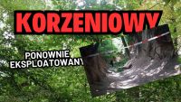 Korzeniowy ponownie eksploatowany, bez jakiejkolwiek refleksji...