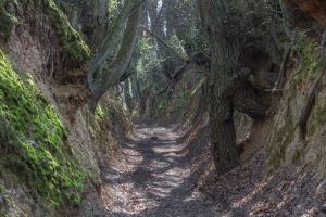Najpiękniejszy wąw&oacute;z Kazimierza Dolnego zostanie wybetonowany